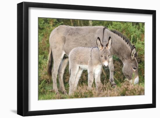 Big and Small-Matt Roseveare-Framed Giclee Print