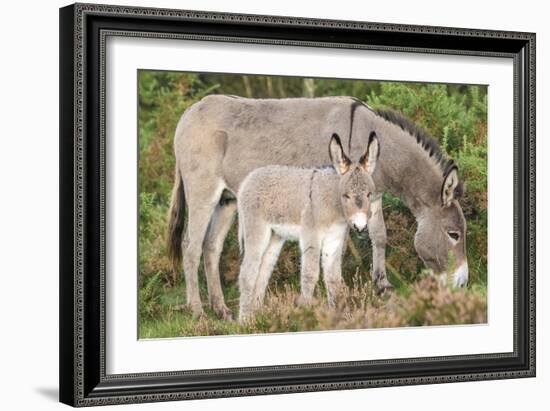 Big and Small-Matt Roseveare-Framed Giclee Print