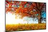 Big Autumn Oak With Red Leaves On A Blue Sky Background-Dudarev Mikhail-Mounted Photographic Print