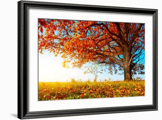 Big Autumn Oak With Red Leaves On A Blue Sky Background-Dudarev Mikhail-Framed Photographic Print