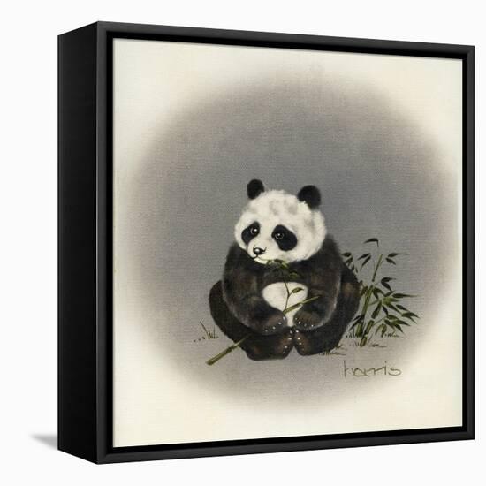 Big Baby-Peggy Harris-Framed Premier Image Canvas