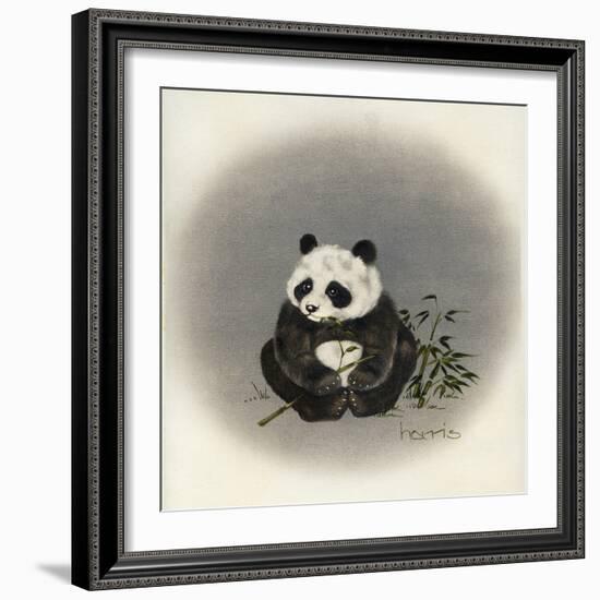 Big Baby-Peggy Harris-Framed Giclee Print