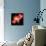 Big Bang Probability, Conceptual Image-Victor De Schwanberg-Framed Premier Image Canvas displayed on a wall