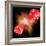 Big Bang Probability, Conceptual Image-Victor De Schwanberg-Framed Premium Photographic Print