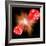 Big Bang Probability, Conceptual Image-Victor De Schwanberg-Framed Premium Photographic Print