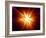 Big Bang-Mehau Kulyk-Framed Photographic Print