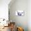 Big Bang-Agnes Cecile-Mounted Premium Giclee Print displayed on a wall