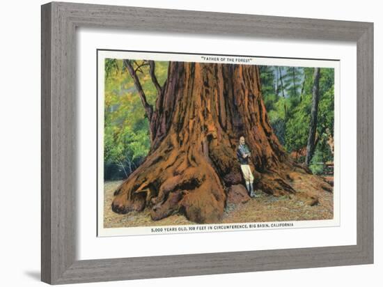 Big Basin, California - Father of the Forest Tree, 5000 Years old-Lantern Press-Framed Art Print