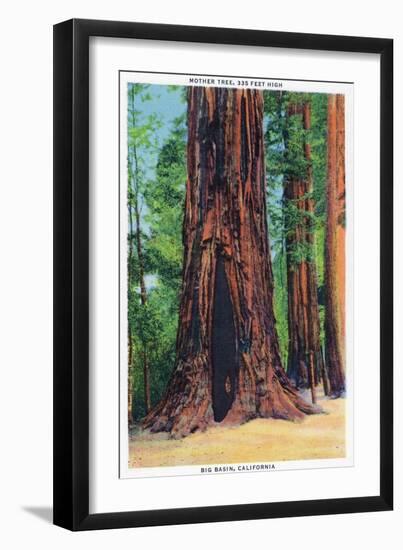 Big Basin, California - Mother Tree-Lantern Press-Framed Art Print