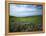 Big Basin Prairie Preserve, Kansas, USA-Charles Gurche-Framed Premier Image Canvas