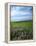 Big Basin Prairie Preserve, Kansas, USA-Charles Gurche-Framed Premier Image Canvas