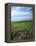 Big Basin Prairie Preserve, Kansas, USA-Charles Gurche-Framed Premier Image Canvas