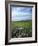 Big Basin Prairie Preserve, Kansas, USA-Charles Gurche-Framed Photographic Print