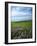 Big Basin Prairie Preserve, Kansas, USA-Charles Gurche-Framed Photographic Print