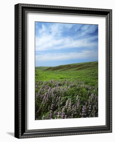 Big Basin Prairie Preserve, Kansas, USA-Charles Gurche-Framed Photographic Print