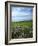 Big Basin Prairie Preserve, Kansas, USA-Charles Gurche-Framed Photographic Print