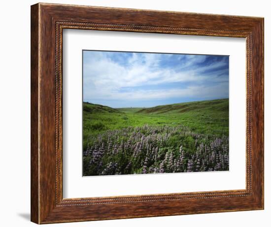 Big Basin Prairie Preserve, Kansas, USA-Charles Gurche-Framed Photographic Print