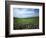 Big Basin Prairie Preserve, Kansas, USA-Charles Gurche-Framed Photographic Print