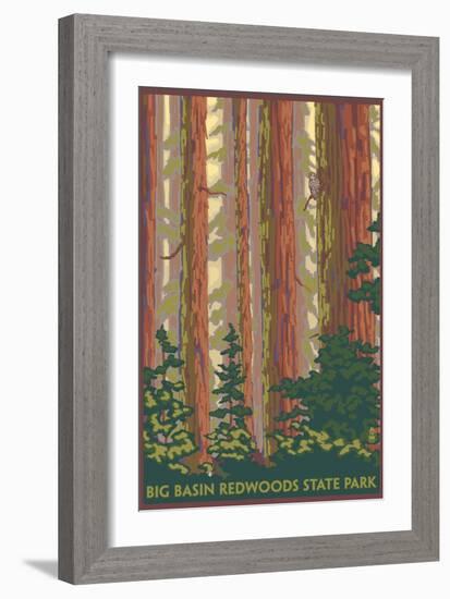 Big Basin Redwoods State Park - Forest View-Lantern Press-Framed Art Print