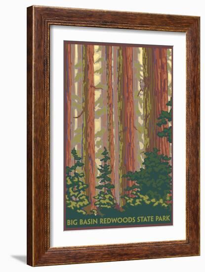 Big Basin Redwoods State Park - Forest View-Lantern Press-Framed Art Print