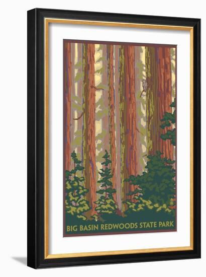 Big Basin Redwoods State Park - Forest View-Lantern Press-Framed Art Print