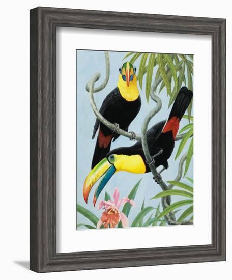 Big-Beaked Birds-R.B. Davis-Framed Giclee Print