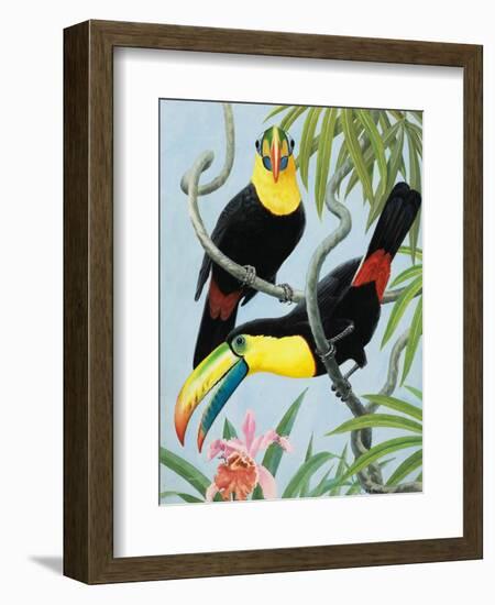 Big-Beaked Birds-R.B. Davis-Framed Giclee Print