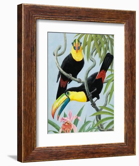 Big-Beaked Birds-R.B. Davis-Framed Giclee Print