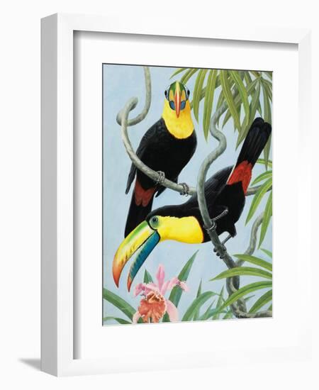 Big-Beaked Birds-R.B. Davis-Framed Giclee Print