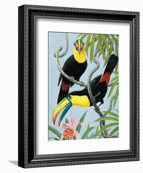 Big-Beaked Birds-R.B. Davis-Framed Giclee Print