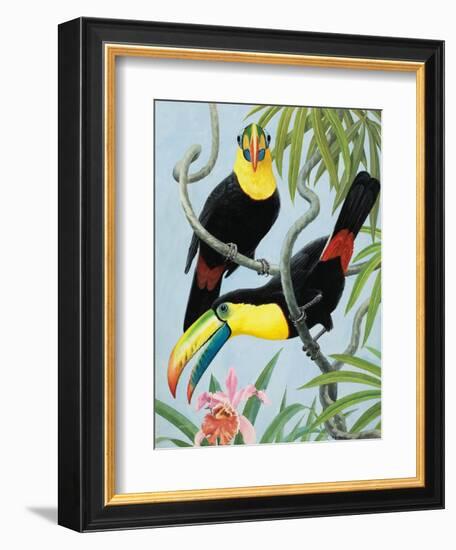 Big-Beaked Birds-R.B. Davis-Framed Giclee Print