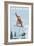 Big Bear Lake - California - Snowboarder Jumping-Lantern Press-Framed Art Print