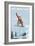 Big Bear Lake - California - Snowboarder Jumping-Lantern Press-Framed Art Print