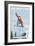 Big Bear Lake - California - Snowboarder Jumping-Lantern Press-Framed Art Print