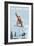 Big Bear Lake - California - Snowboarder Jumping-Lantern Press-Framed Art Print