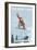 Big Bear Lake - California - Snowboarder Jumping-Lantern Press-Framed Premium Giclee Print
