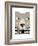 Big Bear-Seventy Tree-Framed Giclee Print