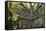 Big Beech Tree Broceliande-Philippe Manguin-Framed Stretched Canvas