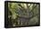 Big Beech Tree Broceliande-Philippe Manguin-Framed Premier Image Canvas