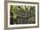 Big Beech Tree Broceliande-Philippe Manguin-Framed Photographic Print