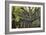 Big Beech Tree Broceliande-Philippe Manguin-Framed Photographic Print