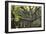 Big Beech Tree Broceliande-Philippe Manguin-Framed Photographic Print