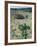 Big Bend National Park, Chihuahuan Desert, Texas, USA Strawberry Cactus and Prickly Pear Cactus-Rolf Nussbaumer-Framed Photographic Print