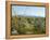 Big Bend National Park, Texas, USA-Ethel Davies-Framed Premier Image Canvas