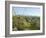 Big Bend National Park, Texas, USA-Ethel Davies-Framed Photographic Print