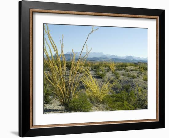 Big Bend National Park, Texas, USA-Ethel Davies-Framed Photographic Print