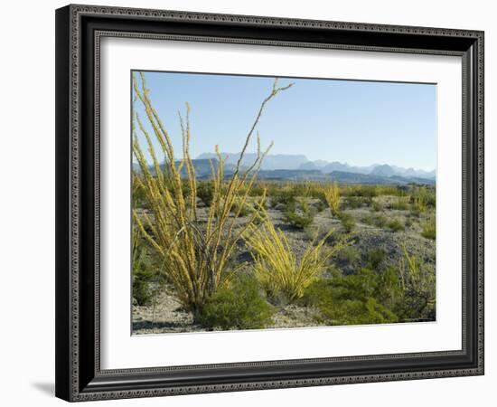 Big Bend National Park, Texas, USA-Ethel Davies-Framed Photographic Print