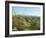 Big Bend National Park, Texas, USA-Ethel Davies-Framed Photographic Print