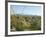 Big Bend National Park, Texas, USA-Ethel Davies-Framed Photographic Print