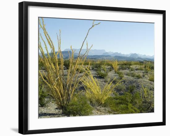 Big Bend National Park, Texas, USA-Ethel Davies-Framed Photographic Print